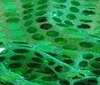 green HIGH QUALITY SEQUINS FABRIC 6mm